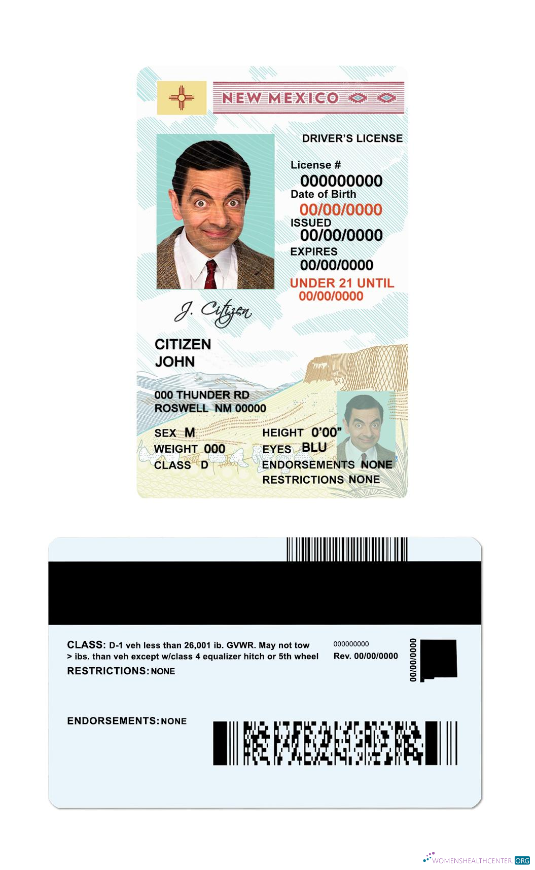 download USA New Mexico dl under 21